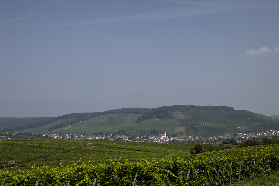 les vignes de Heilbronn bade wurtemberg