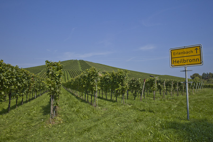 Bade Wurtemberg - vendanges a heilbronn