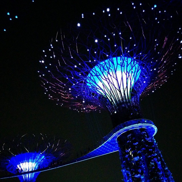 Gardens by the bay - Singapour