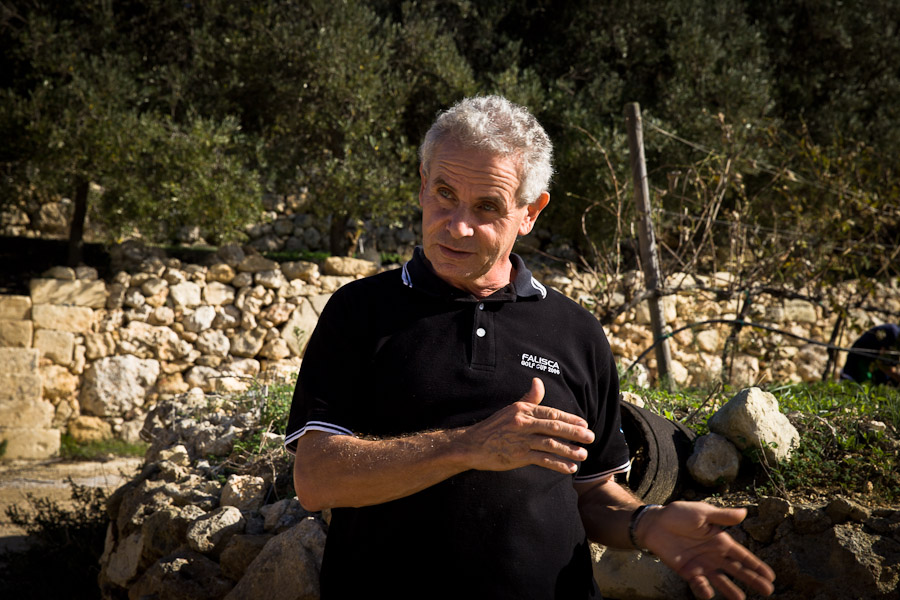Agriculture Gozo - Ta Mena