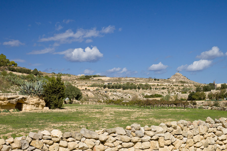 Les champs de ta mena Gozo malte