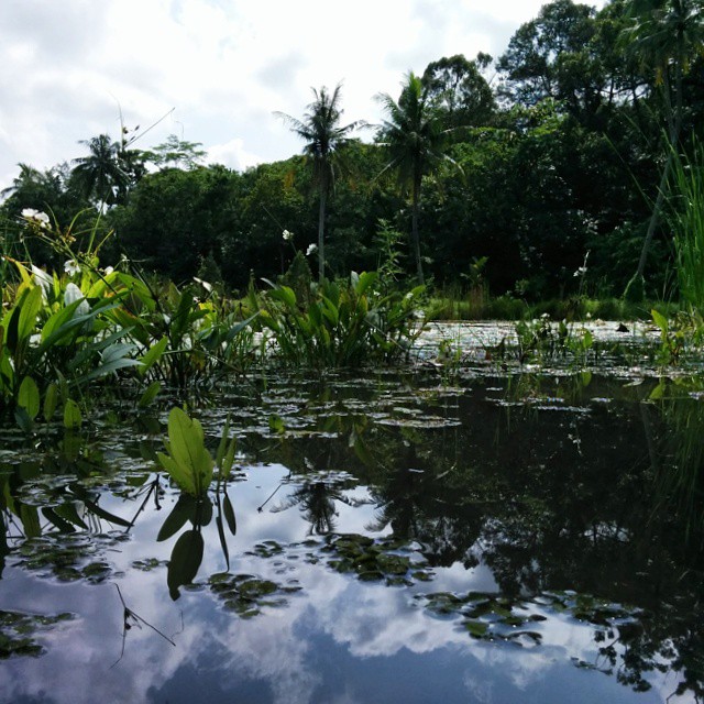 Singapour - Pulau Ubin