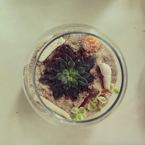 Singapour – Jardin miniature