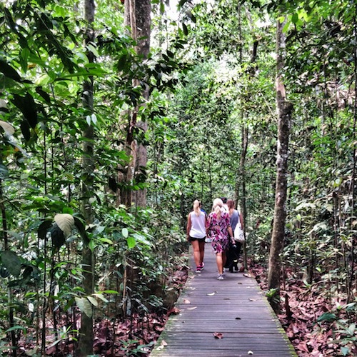 Singapour – Mac Ritchie park