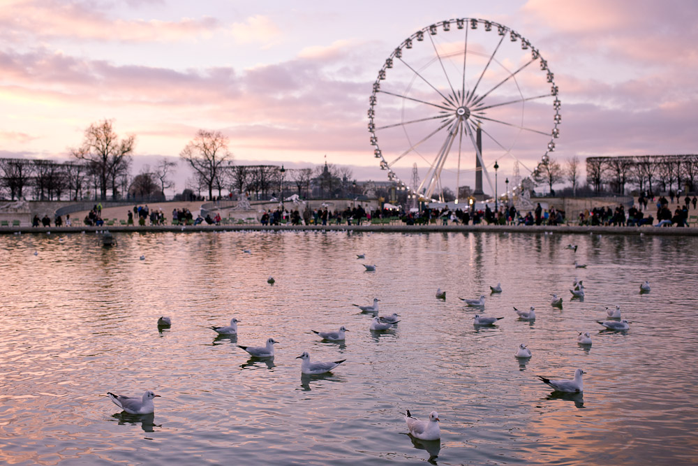 Coucher de soleil sur Les Tuileries