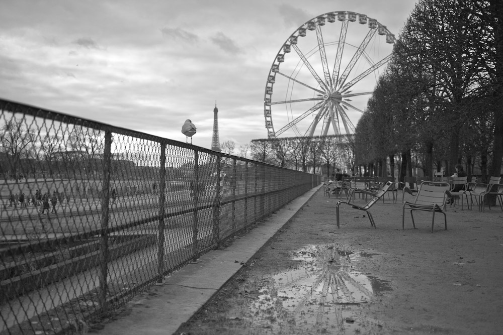 Paris en noir et blanc – La mouette qui regardait la tour eiffel
