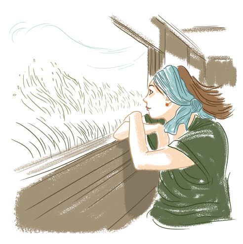 Illustration Aude Mermilliot