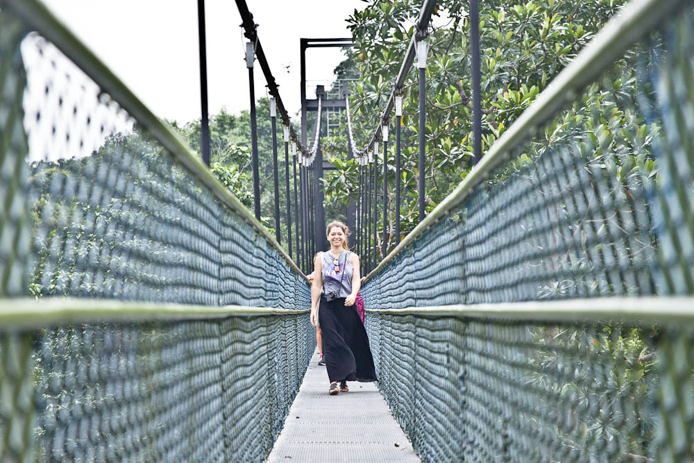 Scène de rue à Singapour – carnets de traverse pont de singe