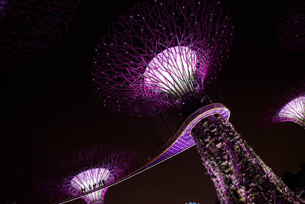 Visiter singapour – Gardens by the bay