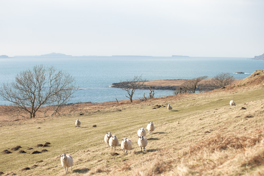 Aller en Ecosse – Mull et les hébrides extérieures