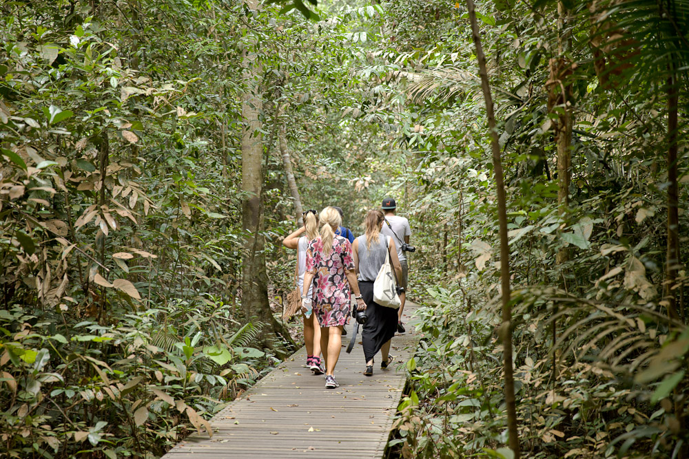 réserve naturelle de Bukit Timah
