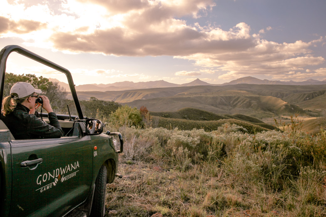 Safari en Afrique du sud - Mélanie Gondwana game reserve