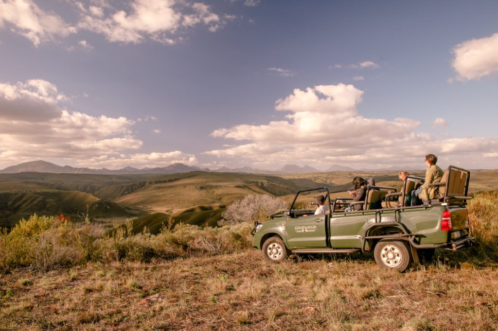 Safari en Afrique du sud – vue sur la réserve