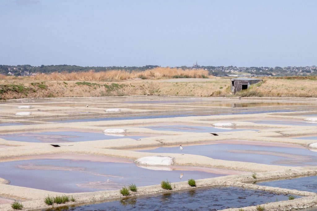 Loire Atlantique – Guerande marais salans