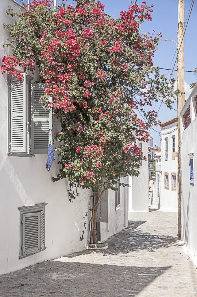 bougainvilliers d'une rue typique d'hydra