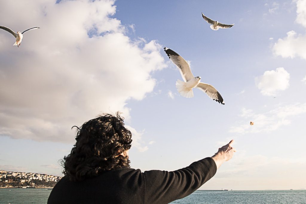 Magie-distanbul-Les-mouettes-a-laffut-dun-bout-de-pain