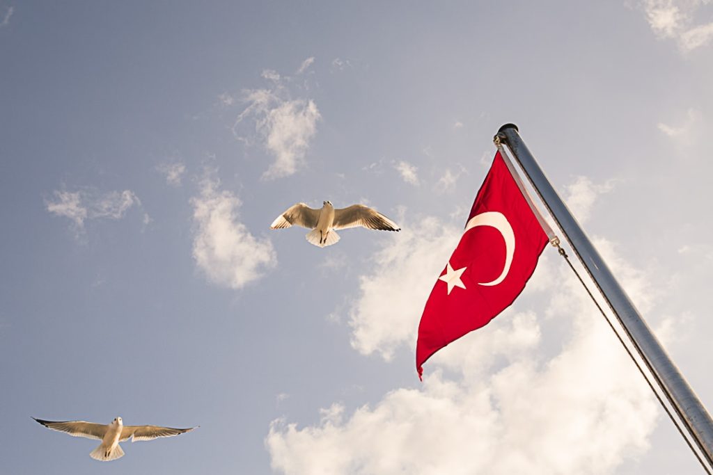 Magie d'istanbul - les mouettes du Bosphore