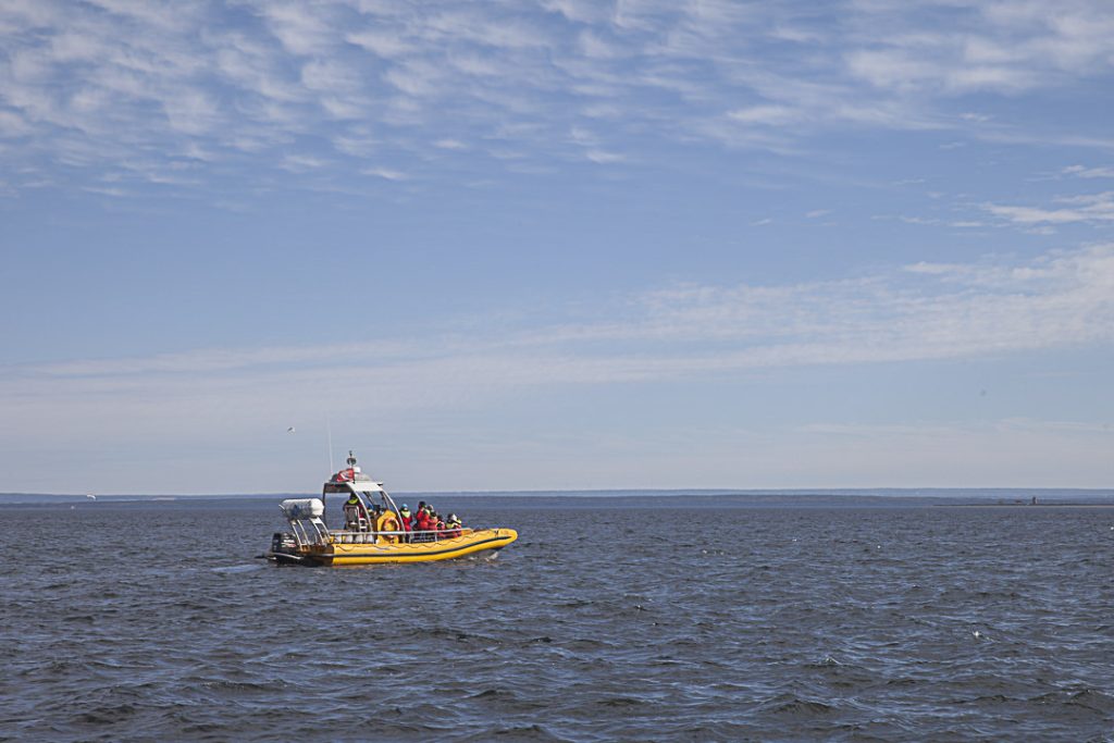 Zodiac sortie baleines tadoussac