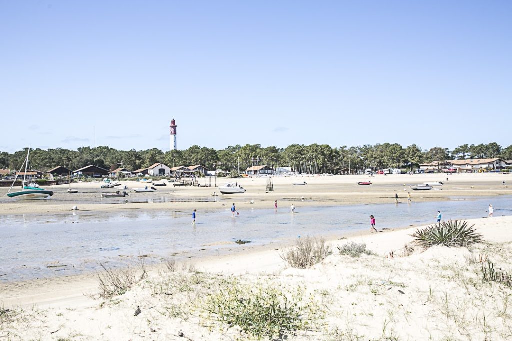 A la pêche à marée basse