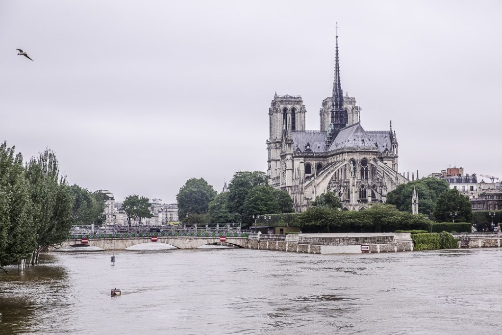 Notre Dame et l'oiseau - Paris inondations Juin 2016