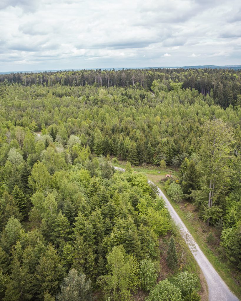On part dans la forêt noire ?