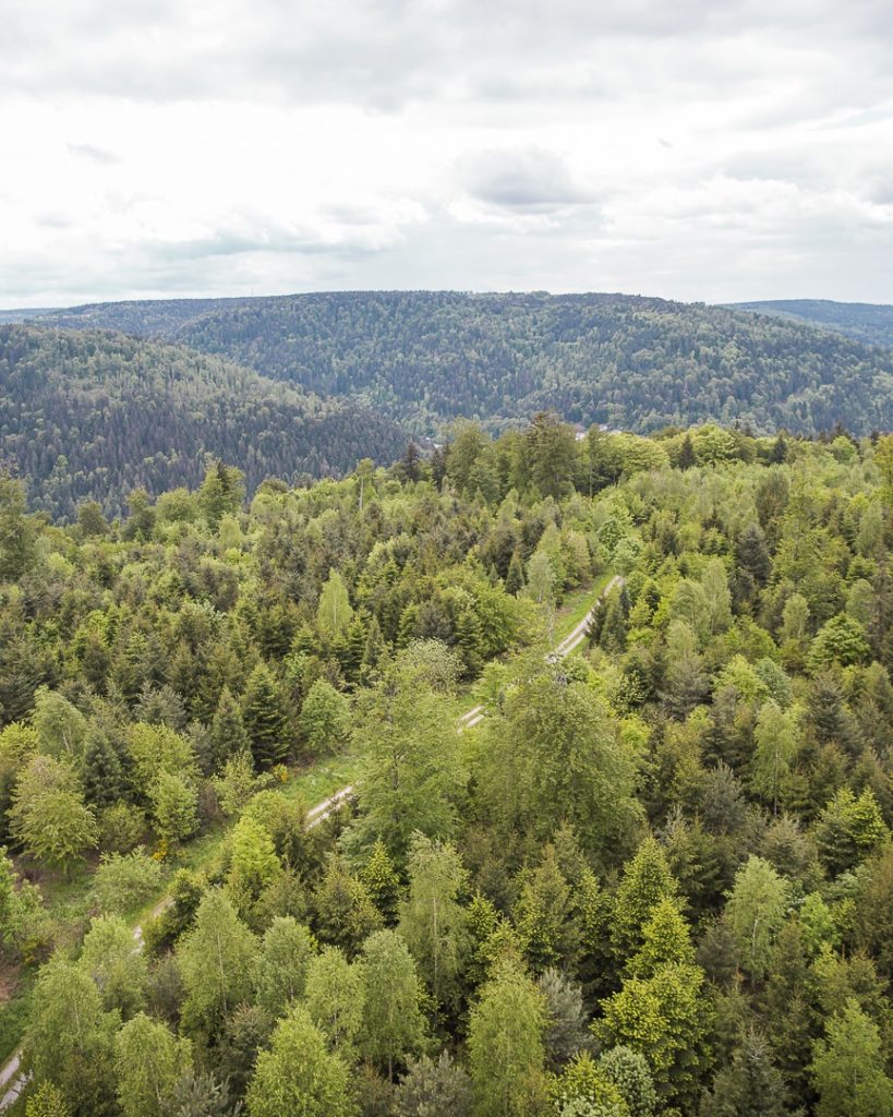 Vue à l'infini sur la forêt noire, à deux pas de Pforzheim