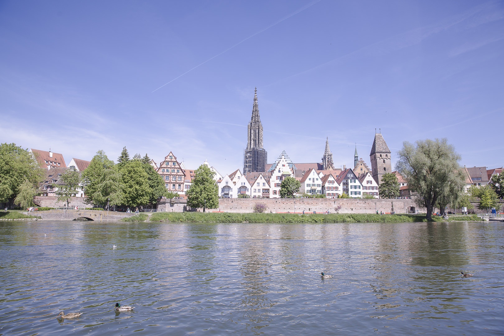 Vue sur la cathédrale de Ulm depuis les bords du Danube