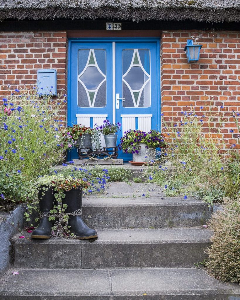 ruegen-mer-baltique-allemagne-portes-et-fleurs-monchgut