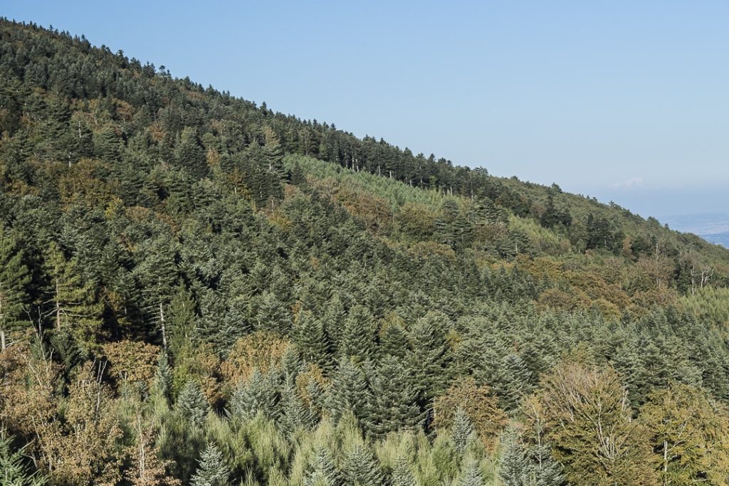 3-jours-dans-la-loire-couleurs-dautomne-sur-la-route-des-crets