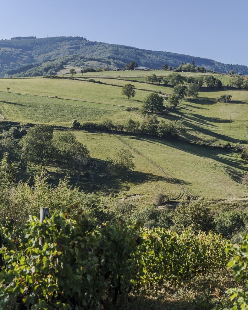 3-jours-dans-la-loire-les-collines-de-sainte-croix-en-jarez