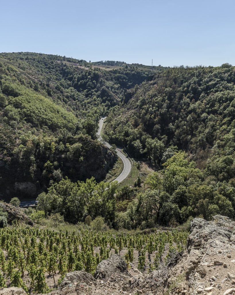 3-jours-dans-la-loire-vignes-du-parc-naturel-regional-du-pilat