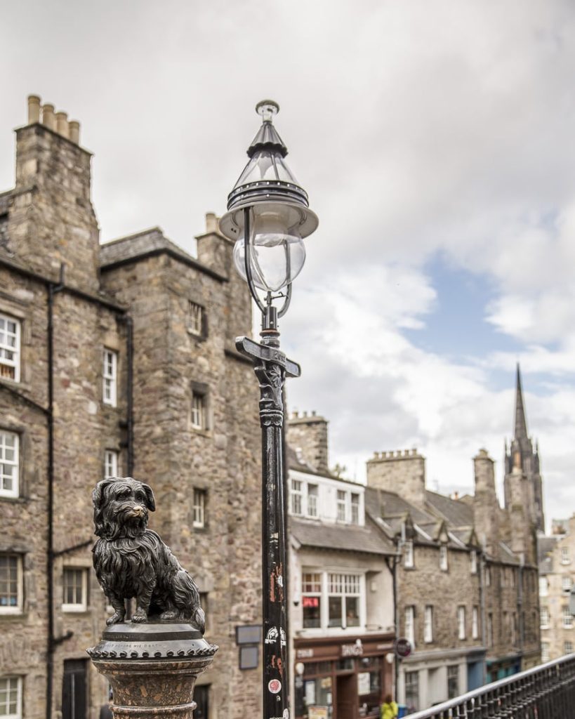 Greyfiard le chien célèbre d'Edimbourg