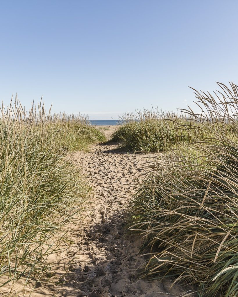 Arrivée sur la plage de Durnoch - Ecosse