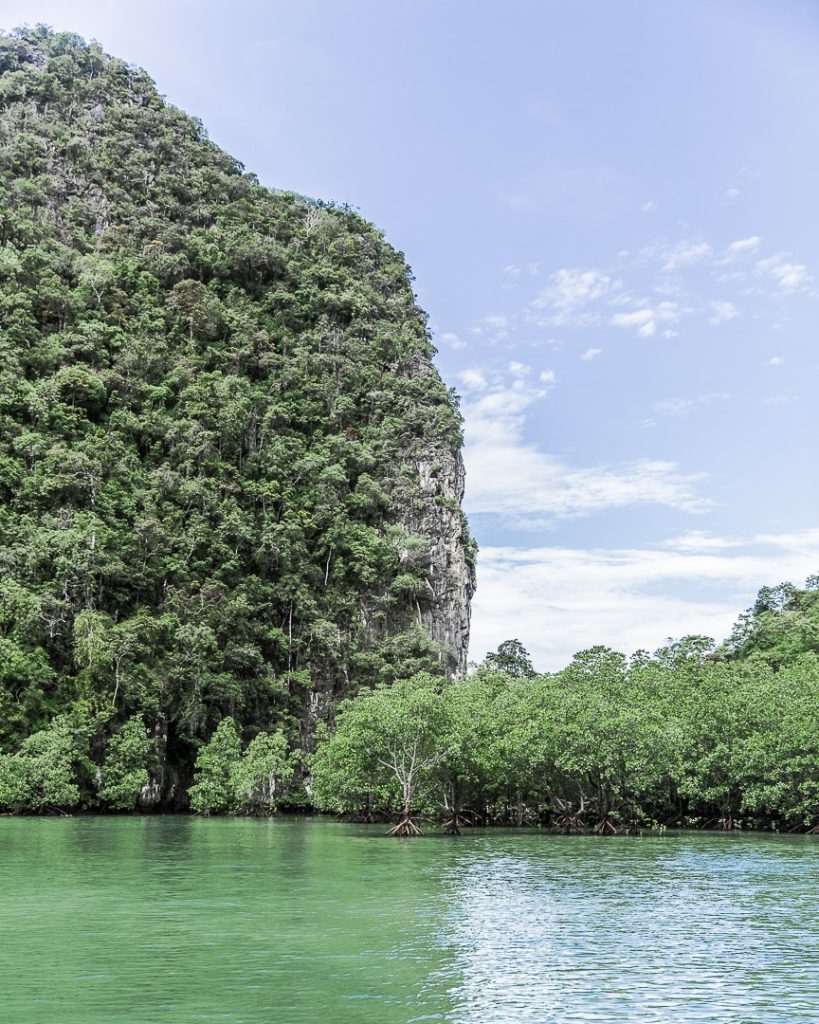 La mangrove de la baie de Ko Hong - Baie de Phang Nga, Thaïlande