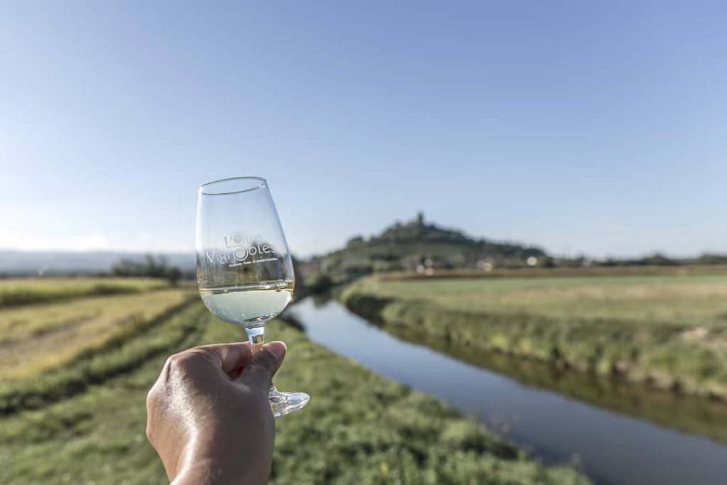 week-end-dans-la-loire-loire-vignoble-1