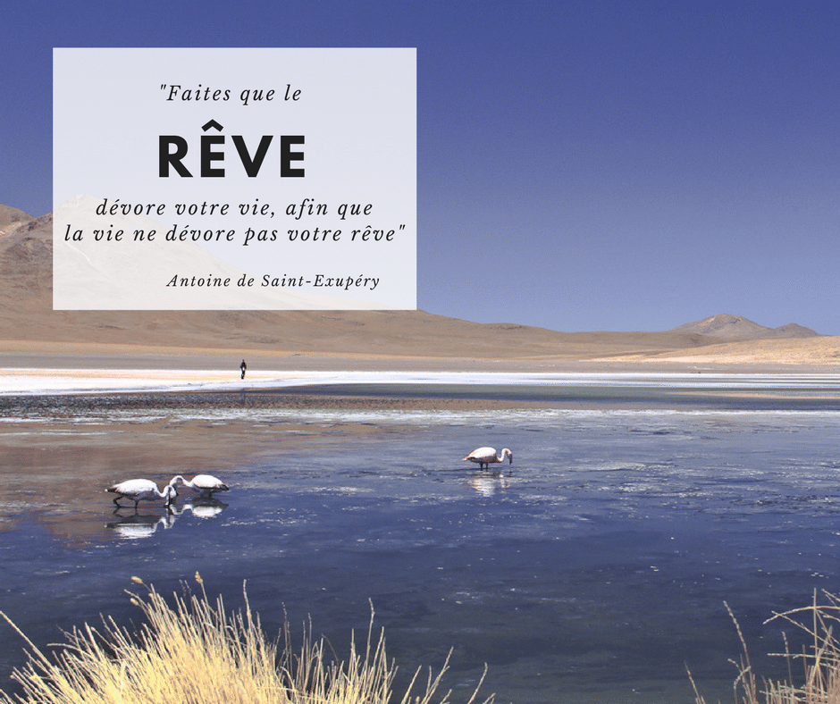 Faites que le rêve dévore votre vie afin que la vie ne dévore pas votre rêve - Antoine de Saint Exupéry