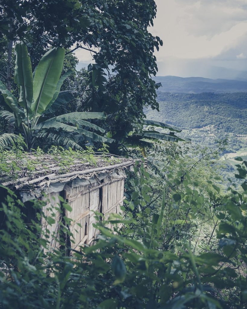 vue verdoyante sur les montagnes du nord de la thailande
