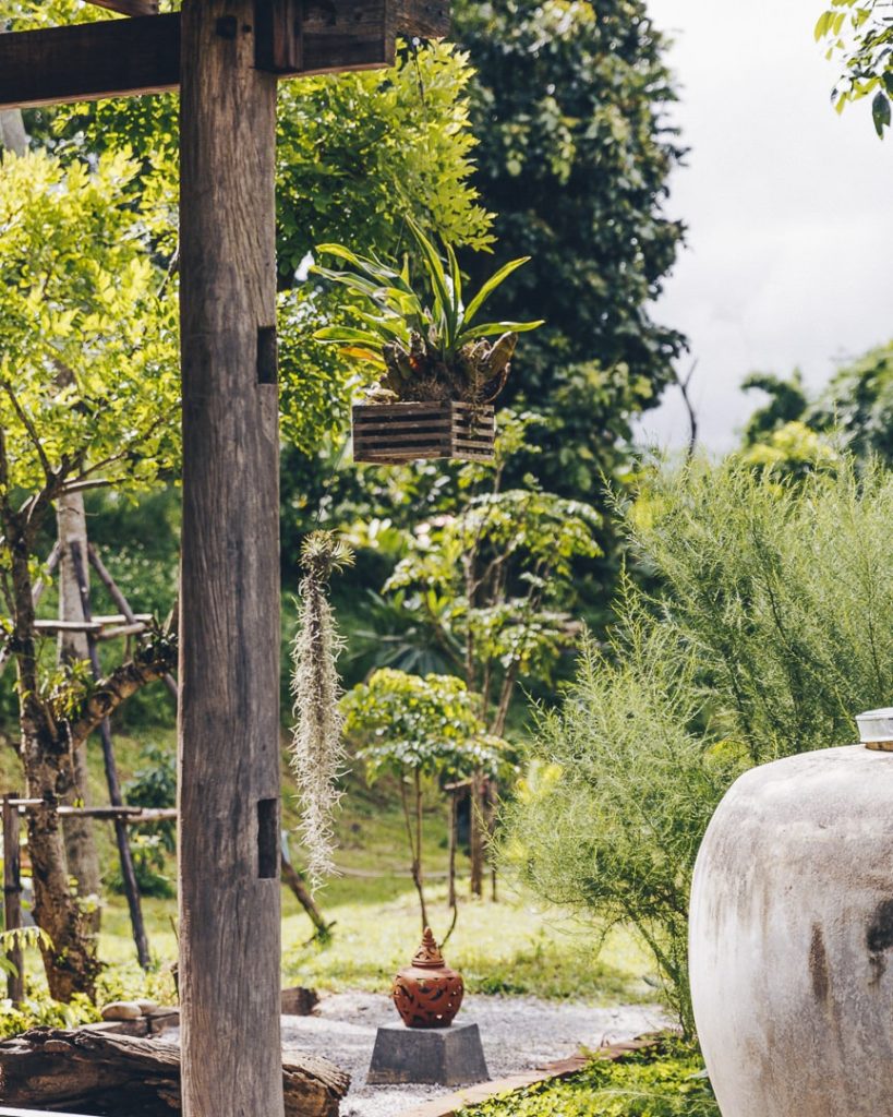 Jardin verdoyant d'une adresse de charme à Chiang Rai