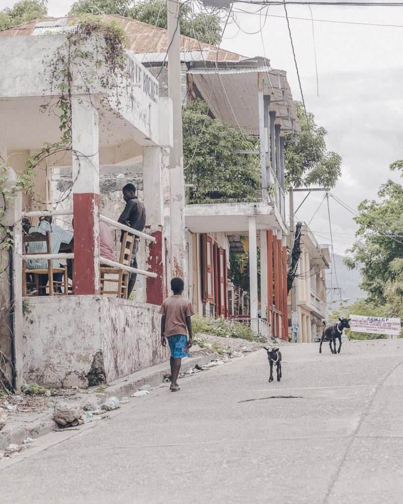 Le petit garçon et les chèvres - Jacmel, Haïti