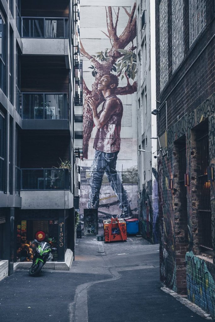 Oeuvre de Fintan Magee vers ACDC Lane - Melbourne, Australie