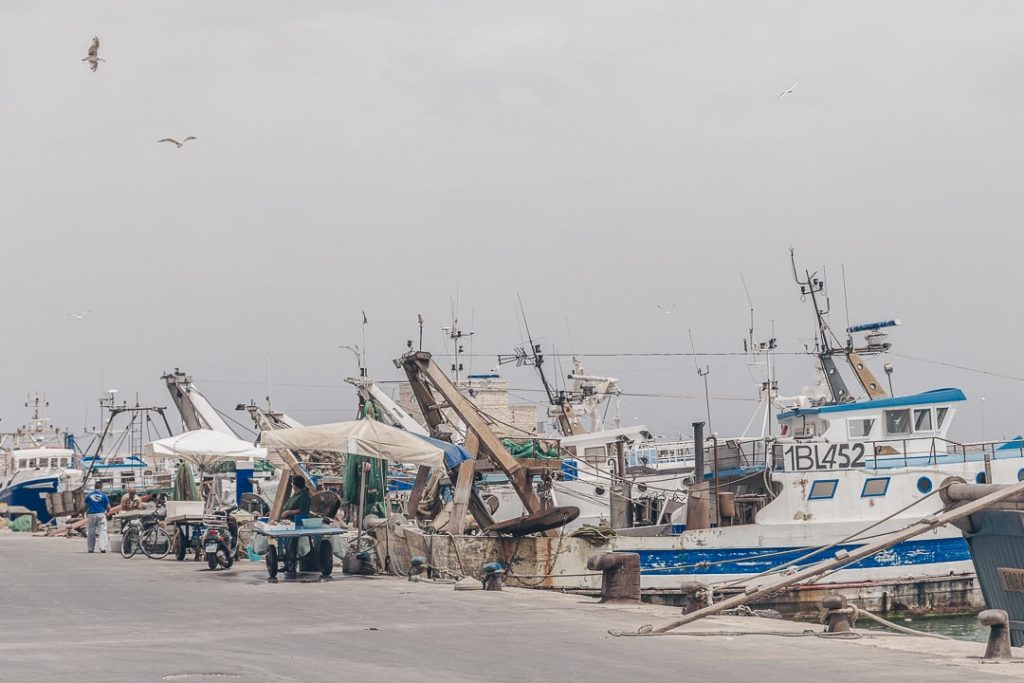 Retour des chalutiers dans le port de Trani