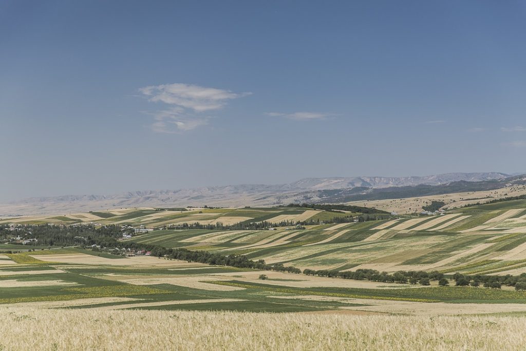 Voyage-au-Kirghizstan-sur-la-route-de-la-soie-champs-a-perte-de-vue