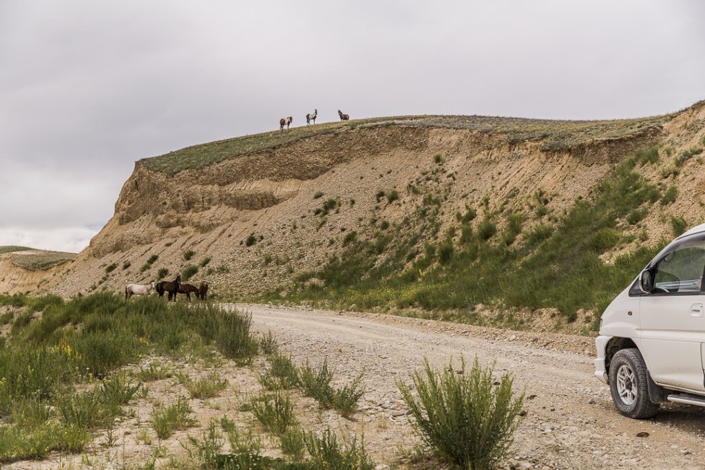 Chevaux sur la route de la soie vers Kazarman - Kirghizstan