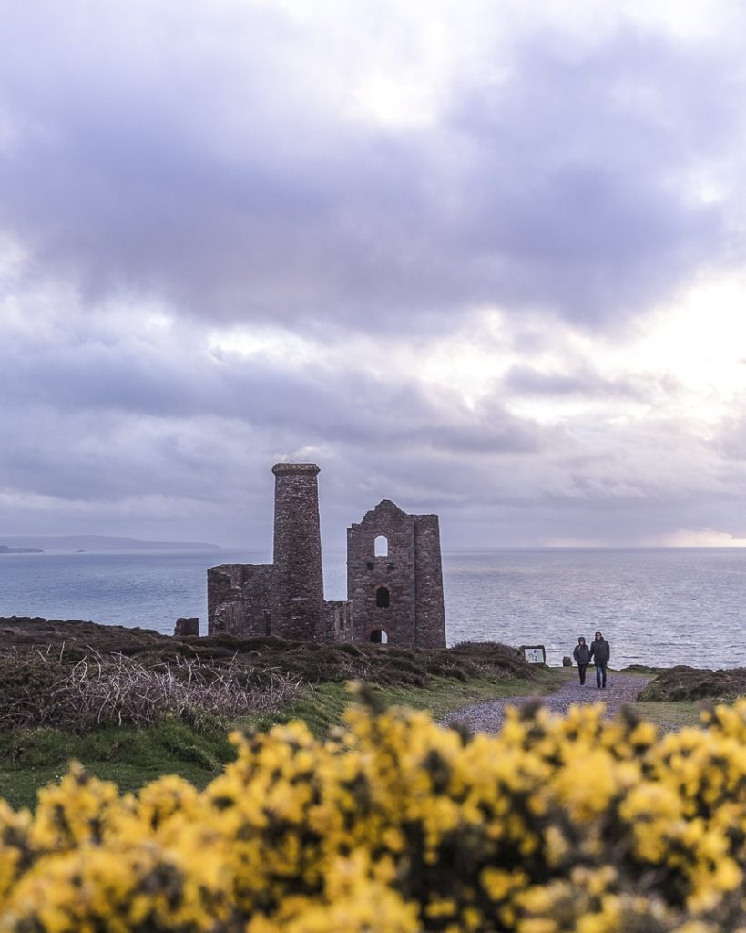 Wheal coastes at sunset