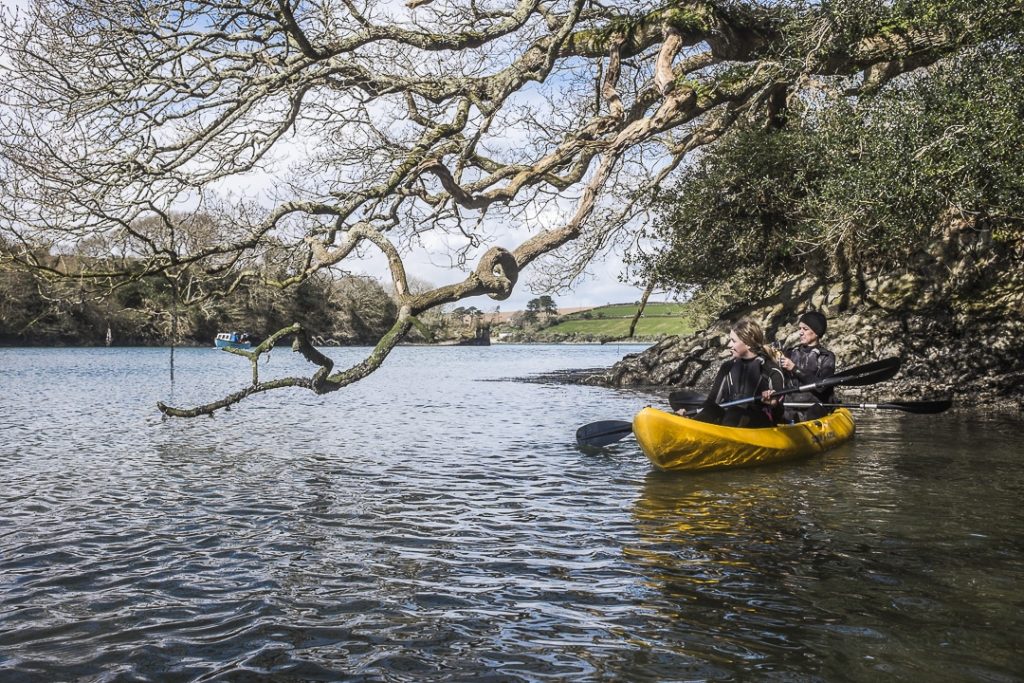 Kayaking on Helford river, Cornwall