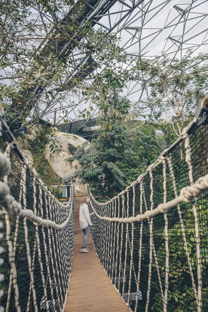 voyage en cornouailles angleterre - Pont de singe Eden project
