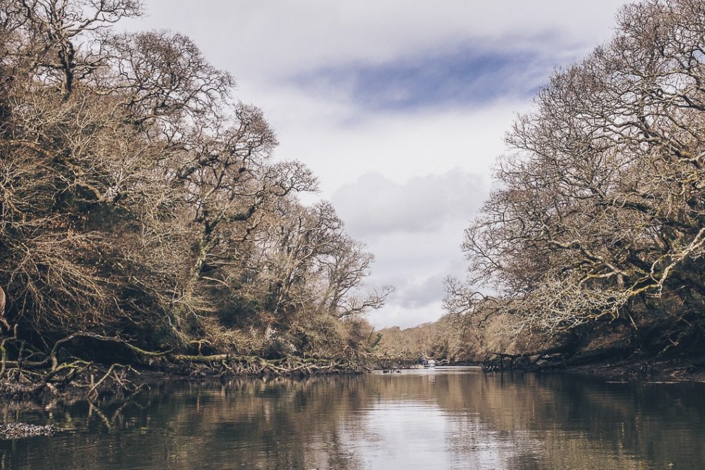 voyage en cornouailles angleterre – kayaking sur Helford river