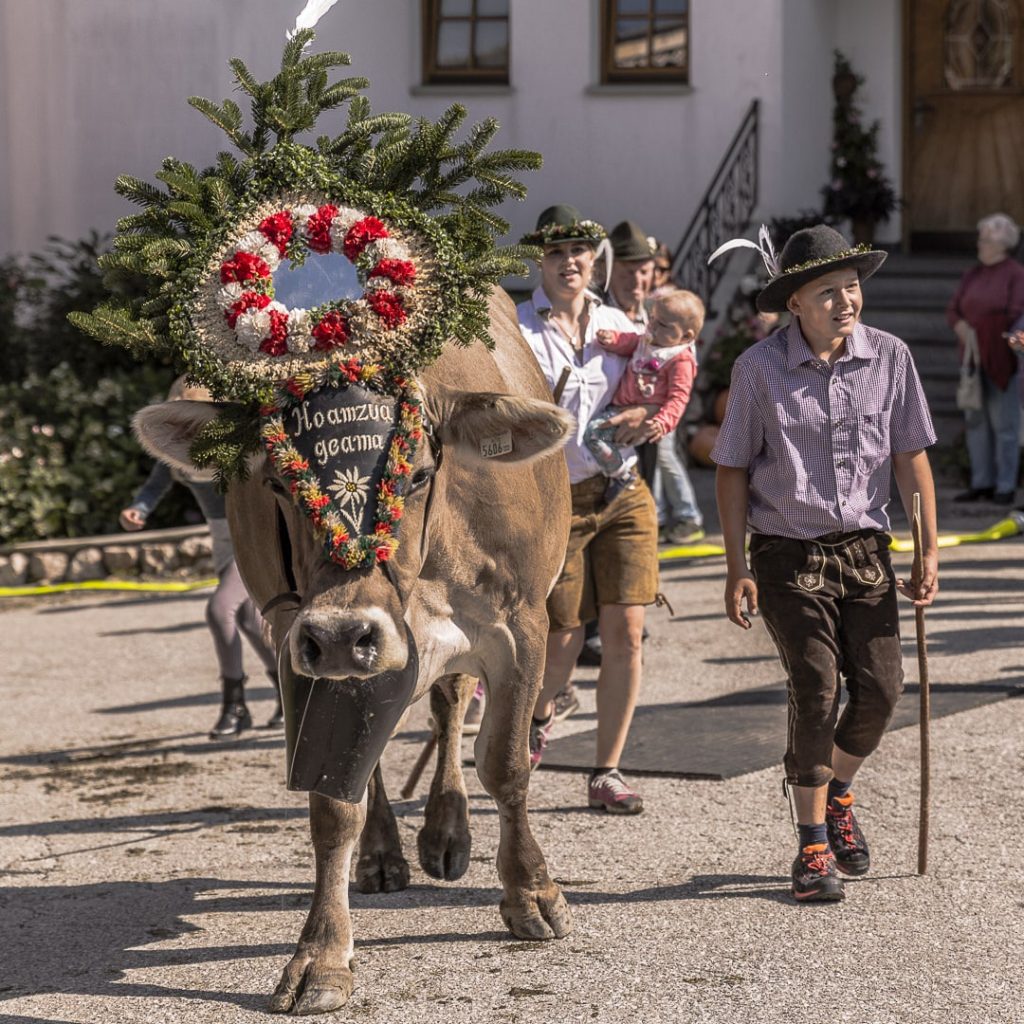 Jour de transhumance dans le Tyrol en Autriche #tyrol #autriche #transhumance