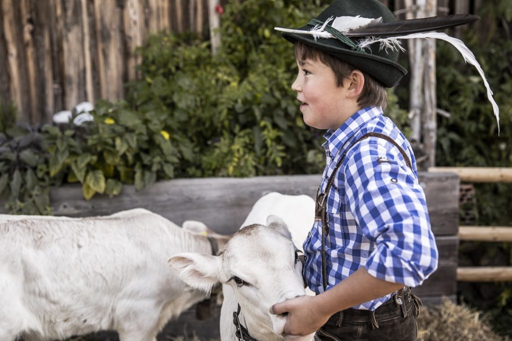 Fête de la transhumance en Autriche - #autriche #tyrol