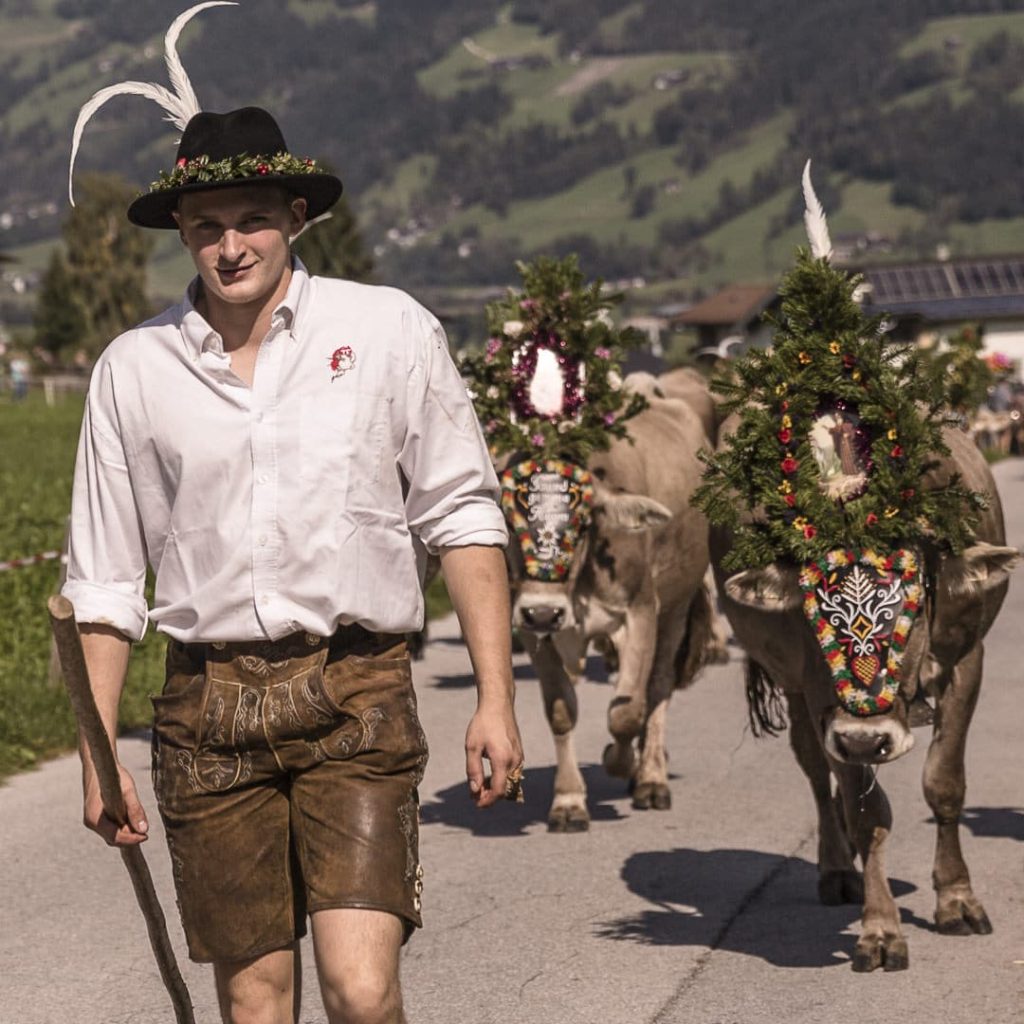 Vacher jour de transhumance en Autriche #autriche #transhumance #tyrol